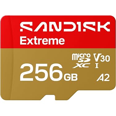 Amazon Best Sellers: Best Micro SD Memory Cards