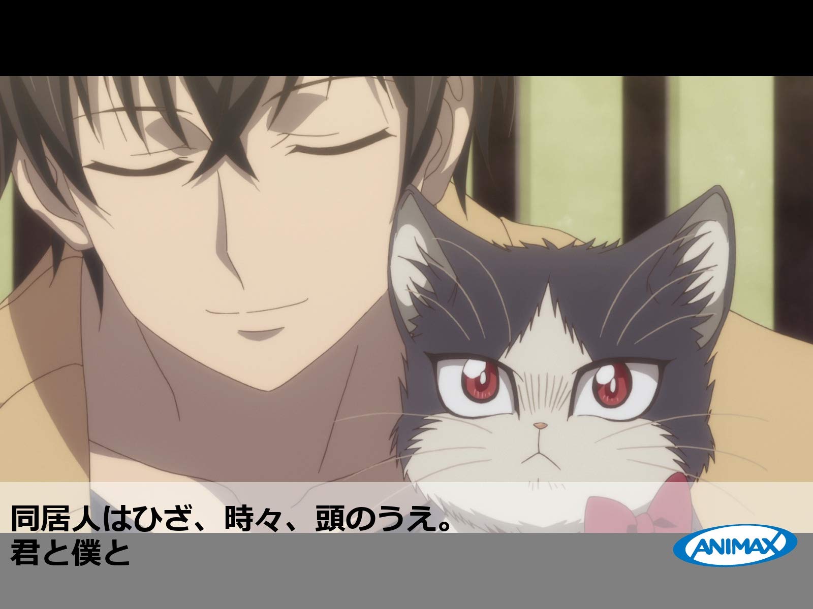 Amazon Co Jp 同居人はひざ 時々 頭のうえ を観る Prime Video