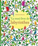 Le maxi-livre de labyrinthes by
