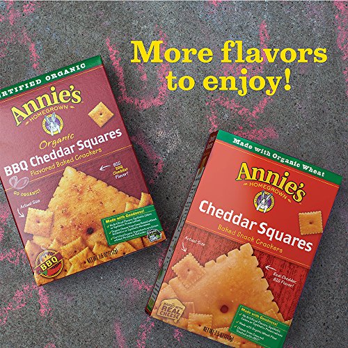 Annie's Organic White Cheddar Squares - Image 8