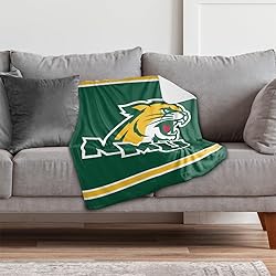 Northern Michigan University Primary Logo Stripes