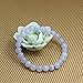 Amandastone Natural A Grade Blue Lace Agate 6mm Round Beads Stretch Bracelet 7 Inch