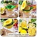 Lemon Squeezer - Kaitsy Premium Quality Metal Citrus Squeezer 2-in-1 Lemon Juicer / Lime Squeezer