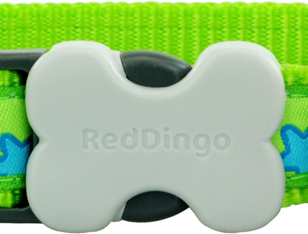 Red Dingo Bucklebone Dog Collar Design, Stars Turquoise on Lime Green, Medium 20mm, M (Pack of 1) - Image 3