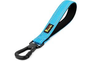 PLUTUS PET 10” Short Dog Leash, Reflective Nylon Padded Handle, Strong Traffic Leash with Carabiner Clip, Perfect for Large or Medium Dogs（10”，Blue