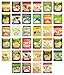 Ahmad Tea Bags Assortment Includes Mints by Variety Fun (100 Count)