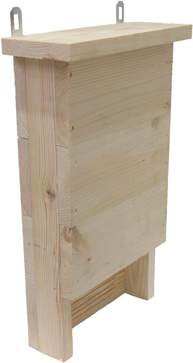 World Of Flowers Caja de murciélago - Madera cruda: Amazon.es: Jardín