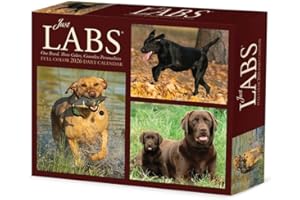 Just Labs 2026 5.4" x 6.2" Box Calendar