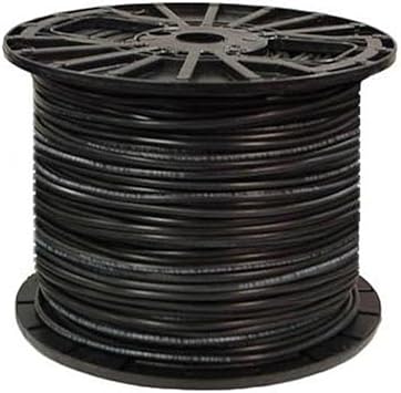 shih tzu x chihuahua full grown