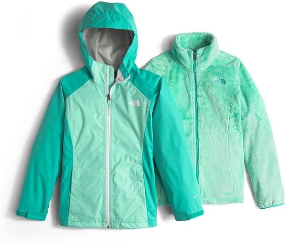 tnf half dome hoodie