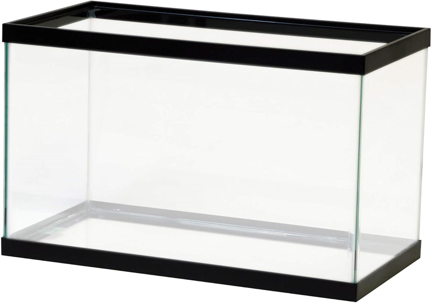 all glass aquarium