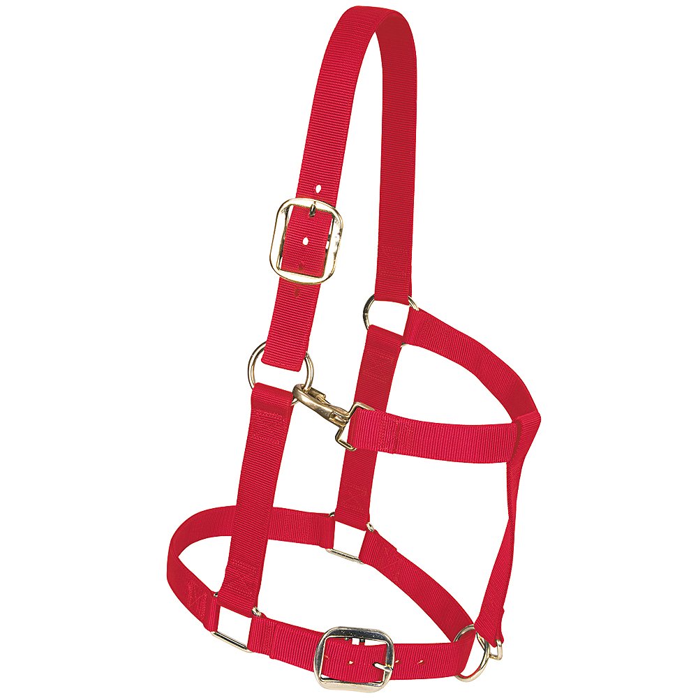 Weaver Leather Nylon Adjustable Draft Horse Halter, Red