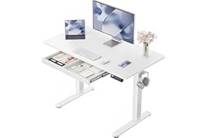 ErGear 44 inch Electric Standing Desk with Drawers, Adjustable Height with Storgear, 4 Memory Height Settings, Sit Stand Up Desk for Home Office & Computer Workstation, White