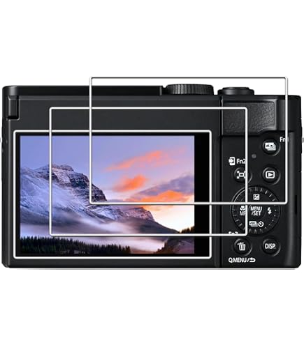 Amazon.com : Panasonic LUMIX TZ/ZS99 Point and Shoot Camera