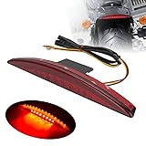 Breakout Tail Light LED Rear Fender Taillight