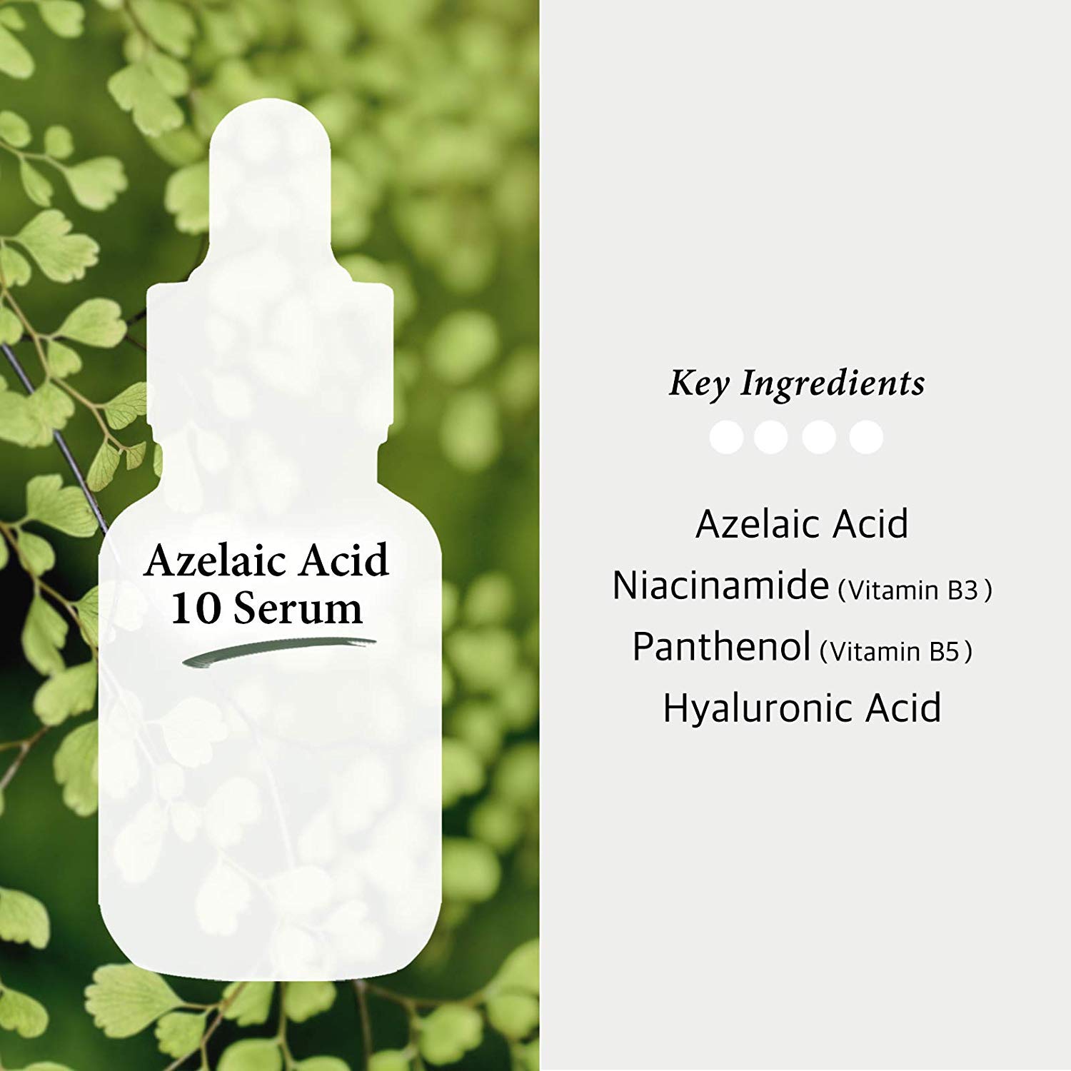 Azelaic Acid 10% Serum 1oz with Niacinamide - Rosacea Skin Care Product + Reduce Cystic Acne Scar + Redness Relief Face + Pimple Pigmentation Blackhead + Vitamin B3 + B5, Gluten Free, 1oz (30ml): Beauty