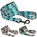 CollarDirect Nylon Dog Leash 5ft Tribal Pattern Durable Walking Pet Leashes for Dogs Small Medium Large Puppy (Pattern 1, L)