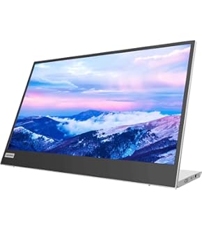 Lenovo ThinkVision M14d 14 WLED LCD Monitor - 16:10 - Raven