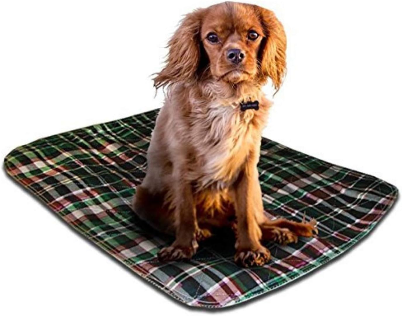 LennyPads Washable Dog and Puppy Pee Pads, 2 Pack - Ultra Absorbent, Leak-Proof and Reusable Pet Pee Pads, Ideal for Training, Housebreaking, Incontinence and Travel - Picnic Plaid, 23 x 27 Large