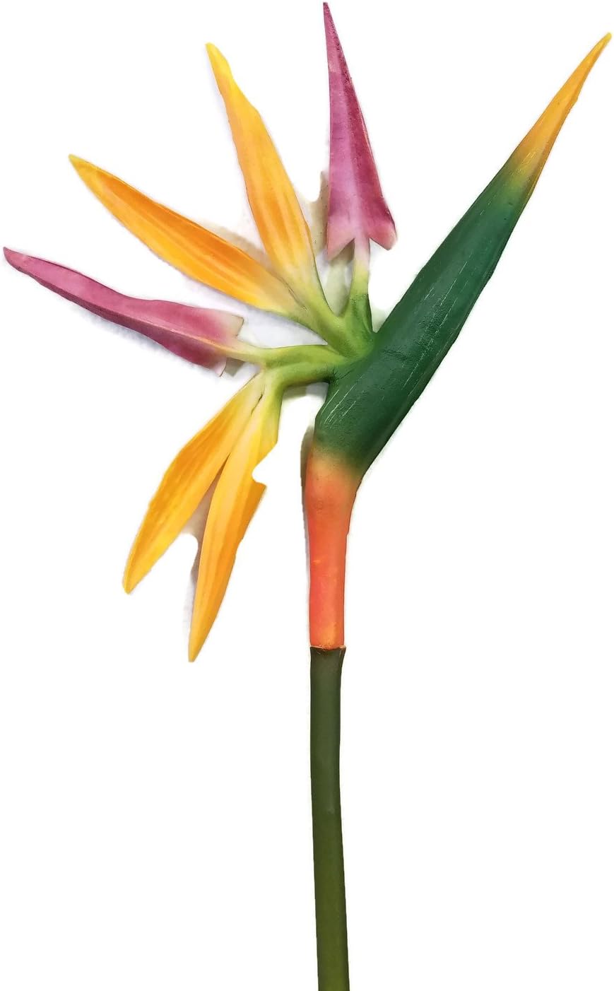 bird of paradise plant on Amazon Com Meide Group Usa 43 Xlarge Real Touch Latex Tropical Bird Of Paradise Flowers For Office Home Decor Weddings Floral Arrangements 1 Pc Home Kitchen