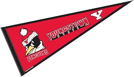 Amazon Com College Flags Banners Co Youngstown State