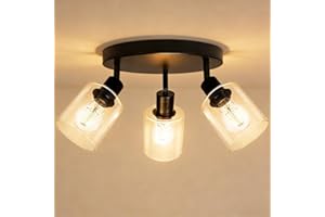 HiBay 3-Light Track Lighting Fixtures Ceiling, Multi Directional Spotlight Round with Glass Shades, Black Farmhouse Industria