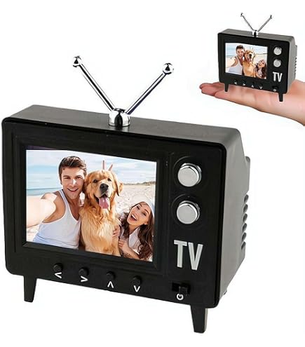 Amazon.com: TinyCircuits TinyTV 2 Portable Retro Mini TV, Brown