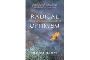 Radical Optimism: Practical Spirituality in an Uncertain World