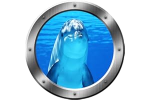 Porpoise Wall Decal Dolphin Porthole 3D Wall Sticker Peel and Stick Decor VWAQ-SP29 (14" Diameter)