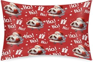 CEMFYZOCH Christmas Satin Pillowcase for Hair and Skin Christmas Santa Claus Soft Silk Pillow Case with Envelope Closure Cooling Pillow Cases Slip Queen Size Pillow Cover for Kids Boys Girls 20x30 Decorate