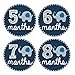 Pinkie Penguin Elephant Baby Monthly Stickers - Milestone Onesie Stickers - 1-12 Months - Baby Boy Month Stickers