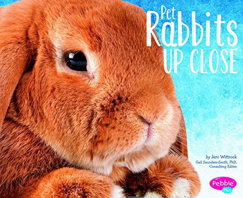 Pet Rabbits Up Close (Pets Up Close)