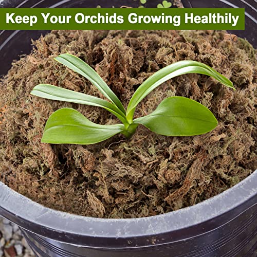 10 OZ Orchid Sphagnum Moss Dried Peat Moss for Potted Plants Mix Soil, Compressed Sphagnum