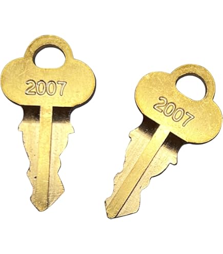 100 Pezzi 556 Chiave Per Ford New Holland Gradall Hyster Lull Yale Carrelli Elevatori Chiavi Di Accensione Pk556 - Foto 6