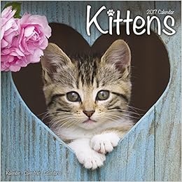 Cute Kitten Calendar Calendars 2016 2017 Wall Calendars Animal Calendar Kittens 16 Month Wall Calendar By Avonside Studio Megacalendars 9781782088660 Amazon Com Books
