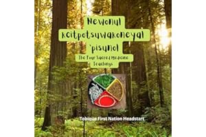 The 4 Sacred Medicine Teachings