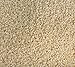 Yamees Sesame Seeds - 2 Pounds (16 Oz Each) Hulled Sesame Seeds White Sesame Seed Bulk Spices