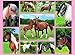 Ravensburger Horse Heaven Jigsaw 300 Piece Jigsaw Puzzle for Kids - Every Piece is Unique, Pieces Fit Together Perfectly.