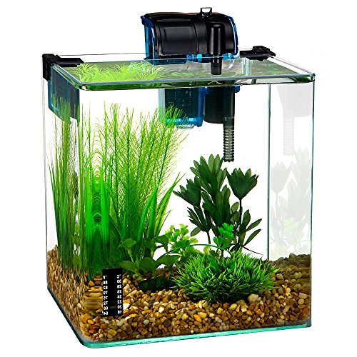 freshwater starter kit