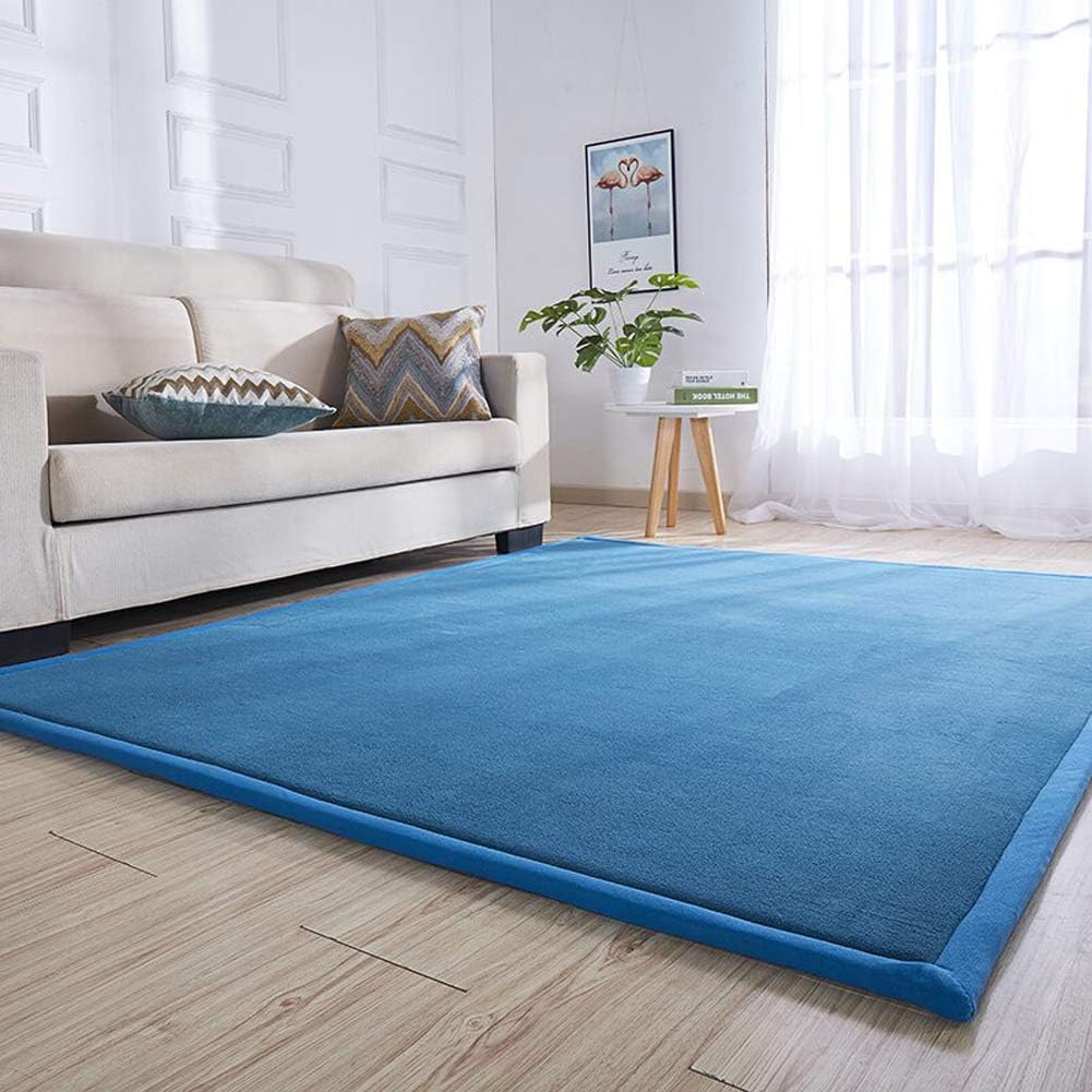 Best floor rug for living room