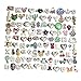 Floating Locket Charm Lanyard Twist Screw Open with Badge ID Holder Keychain Name Stainless Steel 30 Inch Necklace Rolo Chain W/No Repeat 50pcs Floating Charms Lot (Random) + Gift Box (Twist Style)