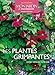Les plantes grimpantes : Choisir, installer, entretien by