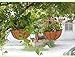 Kingbuy Black Growers Hanging Basket Planter with Chain Flower Plant Pot Home Garden Balcony Decoration-10inch (set of 2) …