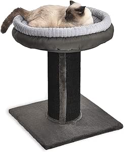 wide cat scratching post