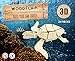 WoodFlair 3D Wooden Puzzle, Set of 3, Aquatic