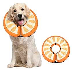 Dog Cone Collar for Small Medium Large Dogs for