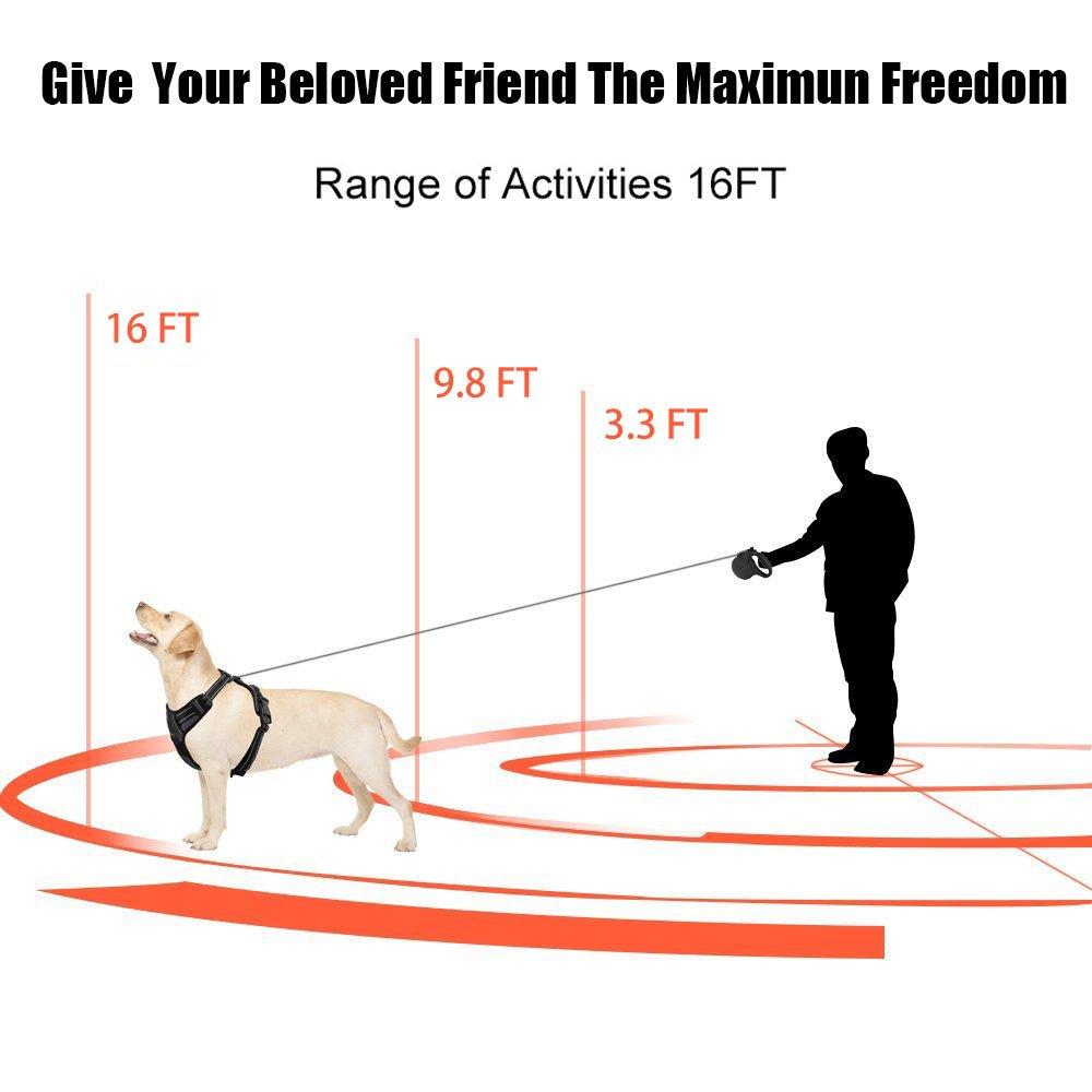 Retractable Dog Leash 16.5FT Extra Long Walking Leash with Break and Lock Button, Tangle Free, Reflective Ribbon Cord, Suitable for Small Medium Breed Dogs By WLWQ - Up to 33LBS / 15KGS Pets (Black）