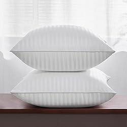 Oubonun 26 x 26 Throw Pillow Inserts, Firm and