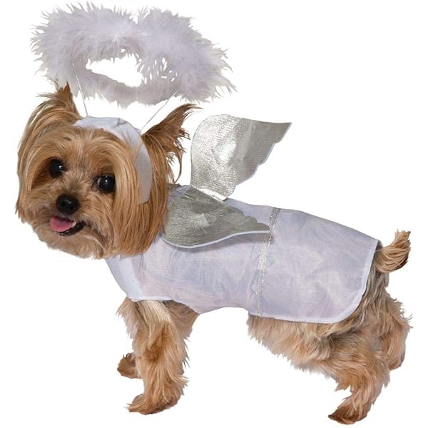 dog angel halo costume