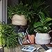 dufmod Large Natural and Plush Woven Seagrass Tote Belly Basket for Storage, Laundry, Picnic, Plant Pot Cover, and Beach Bag (Plush Zigzag Chevron Seagrass White, Large)
